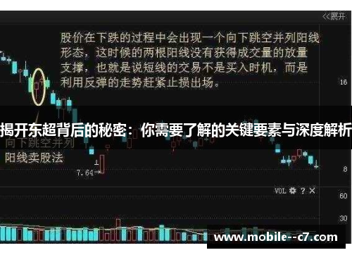 揭开东超背后的秘密：你需要了解的关键要素与深度解析