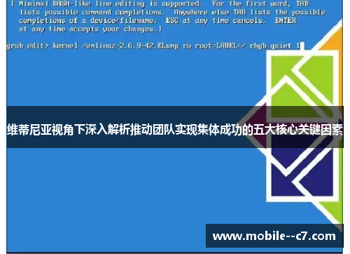 维蒂尼亚视角下深入解析推动团队实现集体成功的五大核心关键因素