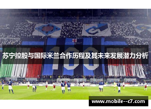苏宁控股与国际米兰合作历程及其未来发展潜力分析
