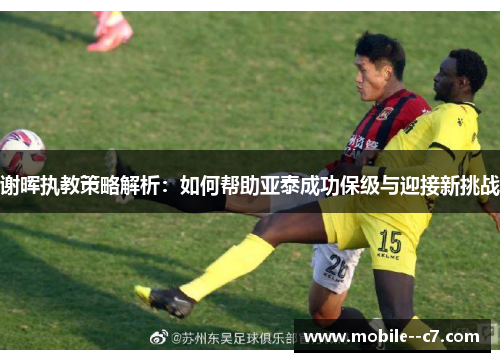 谢晖执教策略解析：如何帮助亚泰成功保级与迎接新挑战
