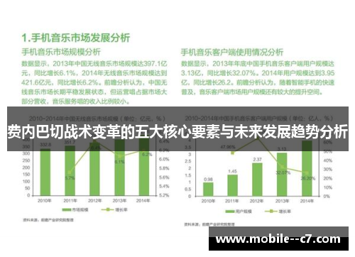 费内巴切战术变革的五大核心要素与未来发展趋势分析