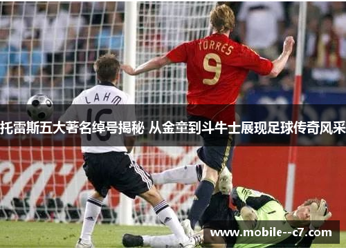 托雷斯五大著名绰号揭秘 从金童到斗牛士展现足球传奇风采