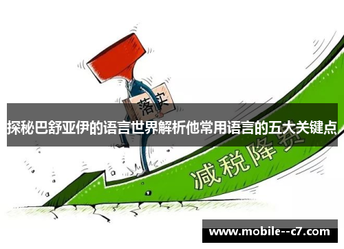 探秘巴舒亚伊的语言世界解析他常用语言的五大关键点
