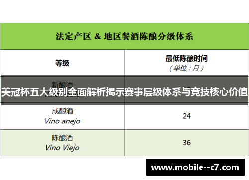 美冠杯五大级别全面解析揭示赛事层级体系与竞技核心价值