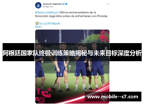 阿根廷国家队终极训练策略揭秘与未来目标深度分析