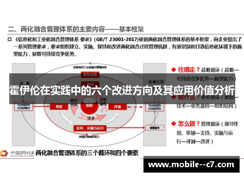 霍伊伦在实践中的六个改进方向及其应用价值分析 霍伊伦在实践中的六个改进方向及其应用价值分析