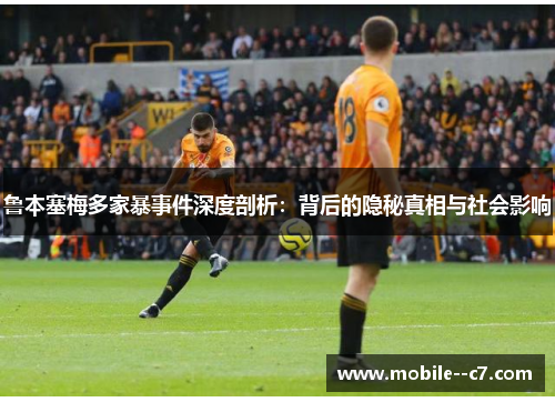 鲁本塞梅多家暴事件深度剖析：背后的隐秘真相与社会影响