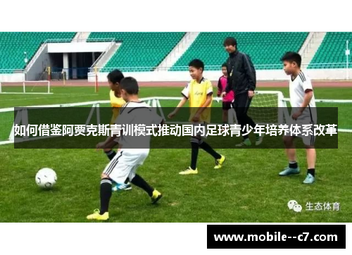 如何借鉴阿贾克斯青训模式推动国内足球青少年培养体系改革