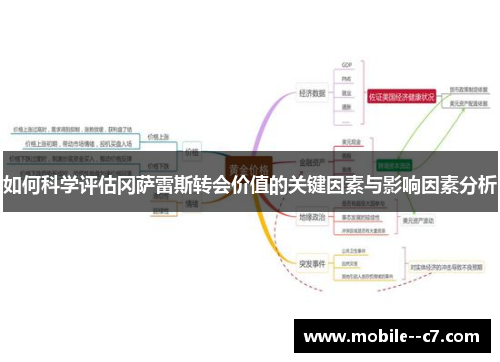 如何科学评估冈萨雷斯转会价值的关键因素与影响因素分析
