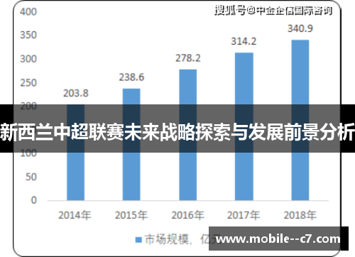 新西兰中超联赛未来战略探索与发展前景分析 新西兰中超联赛未来战略探索与发展前景分析