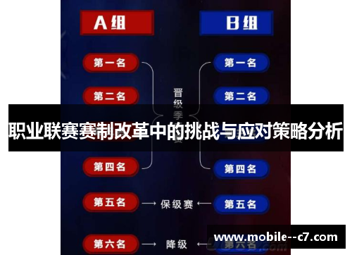 职业联赛赛制改革中的挑战与应对策略分析