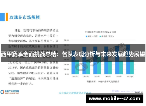 西甲赛季全面挑战总结：各队表现分析与未来发展趋势展望