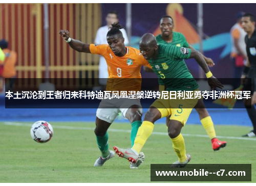 本土沉沦到王者归来科特迪瓦凤凰涅槃逆转尼日利亚勇夺非洲杯冠军