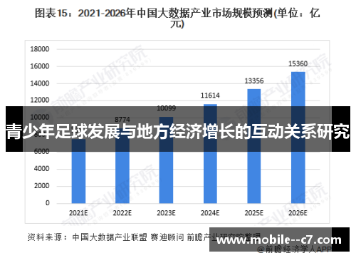 青少年足球发展与地方经济增长的互动关系研究