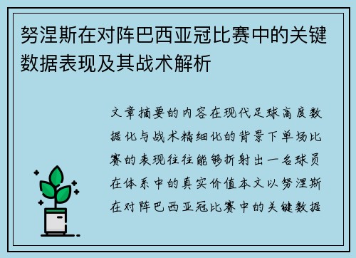 努涅斯在对阵巴西亚冠比赛中的关键数据表现及其战术解析