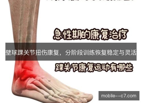壁球踝关节扭伤康复，分阶段训练恢复稳定与灵活