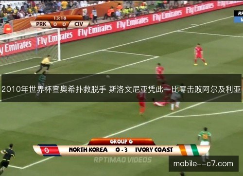 2010年世界杯查奥希扑救脱手 斯洛文尼亚凭此一比零击败阿尔及利亚